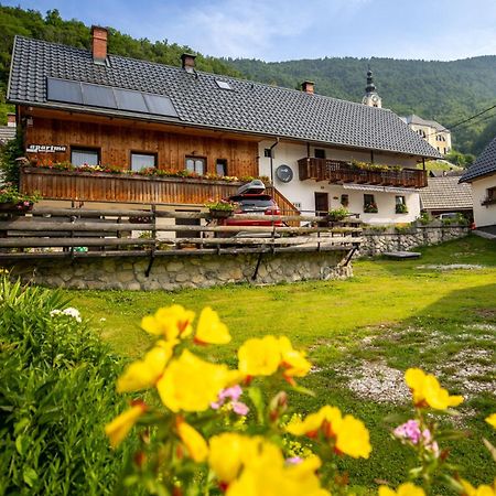 Apartments Kocjanc Bohinj Exterior photo