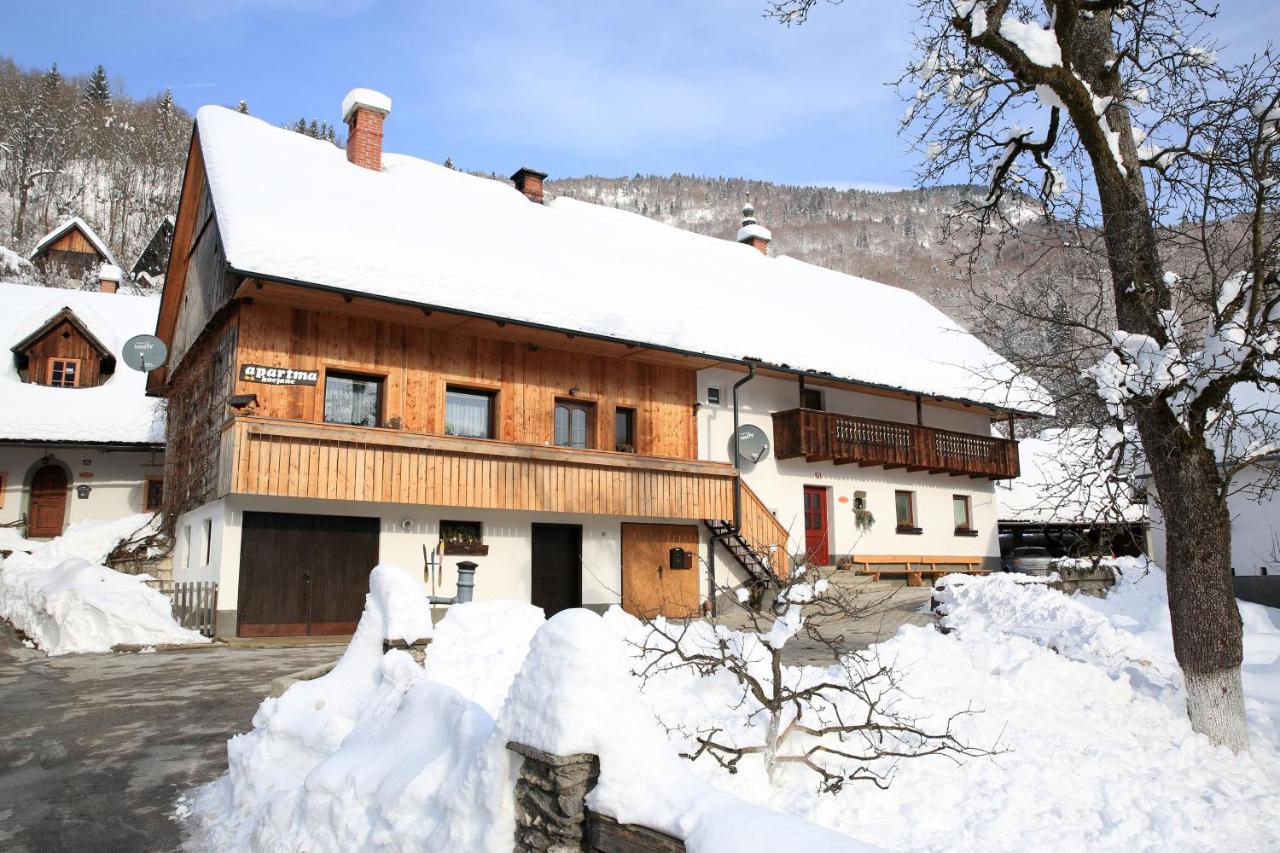 Apartments Kocjanc Bohinj Exterior photo